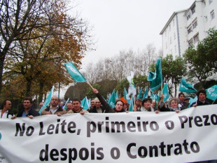 O SLG critica a Medio Rural pola s&uacute;a xesti&oacute;n no referente aos contratos homologados (Imaxe: concentraci&oacute;n de novembro)