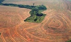 A deforestaci&oacute;n avanza impar&aacute;bel no Amazonas