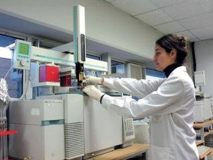 As condici&oacute;ns laborais dos bolseiros son m&iacute;nimas