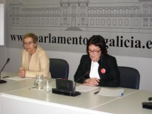 Marisol L&oacute;pez nunha comparecencia no Parlamento