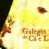 Galiza puxa forte na grella televisiva de Portugal: Galegos de C&aacute; e L&aacute;