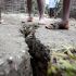 Un novo terremoto de 6,1 graos sacode Hait&iacute; oito d&iacute;as despois