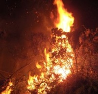 Os tres lumes calcinaron m&aacute;is de unha hect&aacute;rea e media