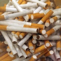 O tabaco contin&uacute;a sendo un dos temas capitais para a OMS