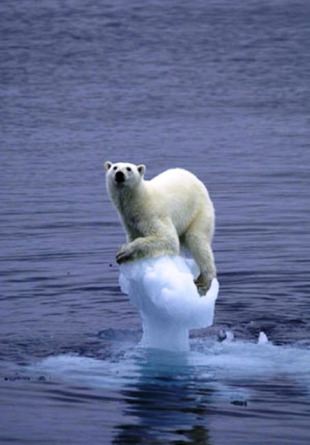 Un dos efectos da mudanza clim&aacute;tica &eacute; o derretimento dos polos
