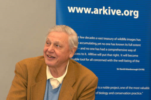 David Attenborough, Premio Fonseca &aacute; divulgaci&oacute;n cient&iacute;fica