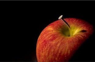 Segundo a tradici&oacute;n cristiana, o primeiro pecado foi comer a maz&aacute; prohibida