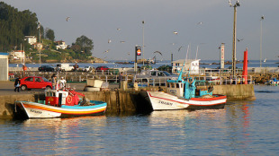 En Galiza o 87% das embarcaci&oacute;ns censadas son de baixura (un total de 4.549 barcos)  Imaxe: porto de Bueu / Flickr:triat3d