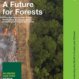 Greenpeace publicou o informe "O futuro dos bosques", que entre outros denuncia o tr&aacute;fico ilegal de madeira