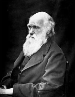 Darwin, en d&uacute;as etapas diferentes da s&uacute;a vida