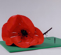 Flor Ca&iacute;da
