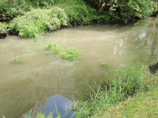 Imaxes do r&iacute;o Madalena, despois da vertedura