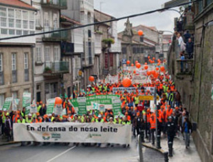 Imaxe dunha manifestaci&oacute;n dos gandeiros
