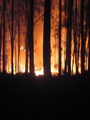 Axuda tam&eacute;n a evitar incendios. Flikr: pablokdc