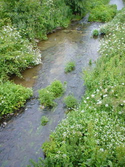 O r&iacute;o Sar