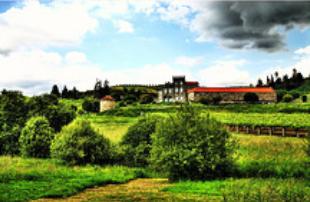 Pazo de Bai&oacute;n
