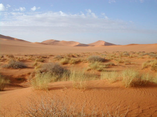 Deserto do S&aacute;hara