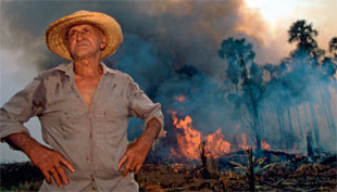 Talas e queimas aceleran a destruci&oacute;n da selva amaz&oacute;nica /Foto: WWF