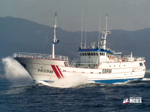 Na actualidade, MCies ten en carteira tres oceanogr&aacute;ficos e un ferry para un armador sueco