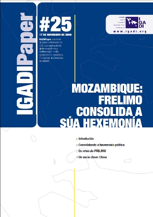 Capa do exemplar n&uacute;mero 25&ordm; do Igadi Paper