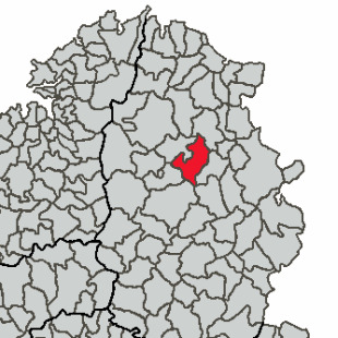 Situaci&oacute;n do concello de Castro de Rei (Wikipedia)