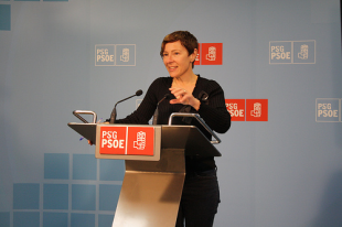 Mar Barc&oacute;n afirma que o PSdeG se op&oacute;n ao decreto pero que non &eacute; funci&oacute;n deste partido organizar folgas