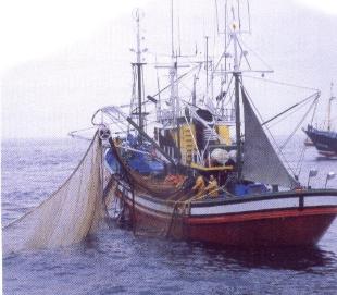 A sobreexplotaci&oacute;n dos mares &eacute; un dos problemas para o sector