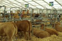 O pa&iacute;s conta con 20 mil explotaci&oacute;ns