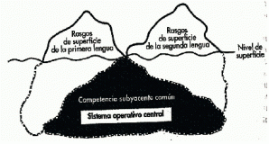 Competencia subxacente com&uacute;n