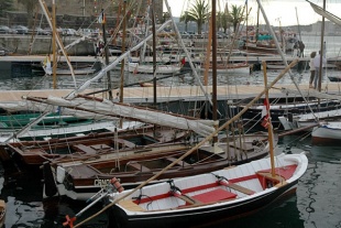 Alg&uacute;ns barcos amarrados no pantal&aacute;n de Curuxeiras