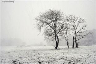 Nevando en Lugo, na ma&ntilde;&aacute; desta sexta feira / Flickr: joe_aesmorga