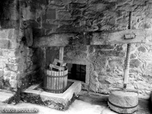 A lagareta da Casa da Matanza, en Padr&oacute;n. Foto: Ux&iacute;o Broull&oacute;n