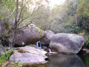 Un detalle da poza que se fai ao paso do r&iacute;o Tronceda na zona da Fervenza / Imaxe: Xos&eacute; Chao