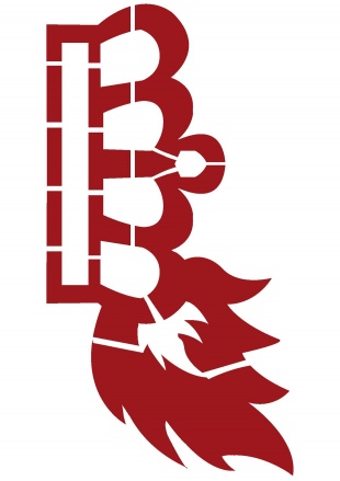 Logo da campa&ntilde;a de adhesi&oacute;n e autoinculpaci&oacute;n da queima de imaxes do rei