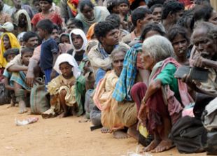 O conflito entre o ex&eacute;rcito cingal&eacute;s e a guerrilla tamil est&aacute; afectando a milleiros de persoas