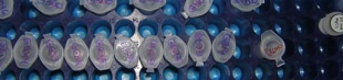 Esta ferramenta empregouse na identificaci&oacute;n xen&eacute;tica das v&iacute;timas do 11-M