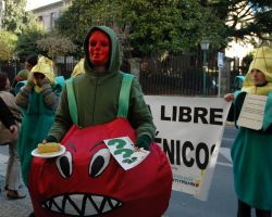 Un tomate transx&eacute;nico, avisando da s&uacute;a perigosidade