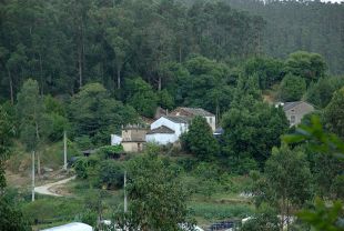 A Parroquia de Viloalle, onde est&aacute; A Fervenza, arrodeada de eucaliptos / Flickr: mondonedolugo