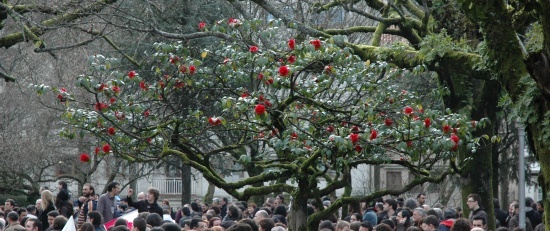 Queremos Galego: Manifestaci&oacute;n do 21 de xaneiro