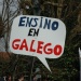 Queremos Galego: Manifestaci&oacute;n do 21 de xaneiro