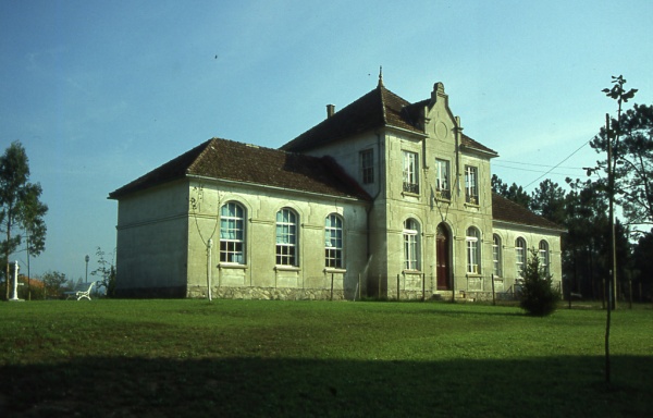 Tomi&ntilde;o