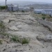 A destruci&oacute;n do castro de San Cibrao: ver&aacute;n de 2008