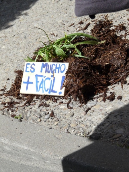 Marcha contra os transx&eacute;nicos