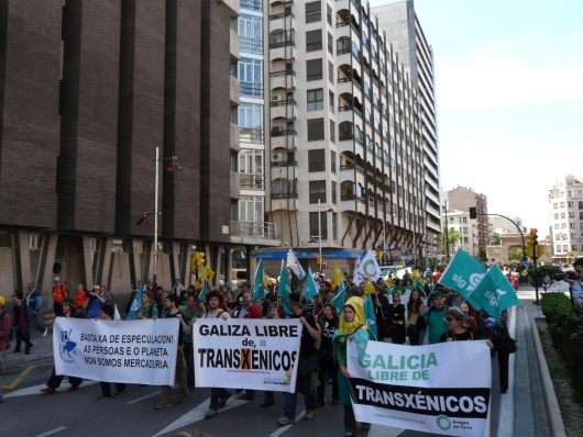 Marcha contra os transx&eacute;nicos